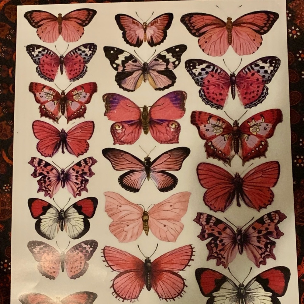 butterfly poster